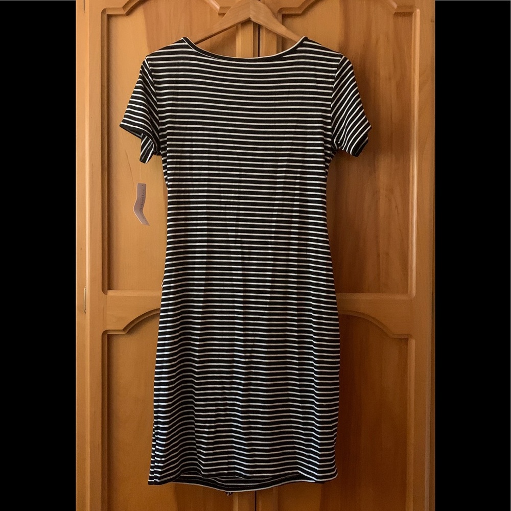 Loveappella Knit Dress - Picture 7 of 8